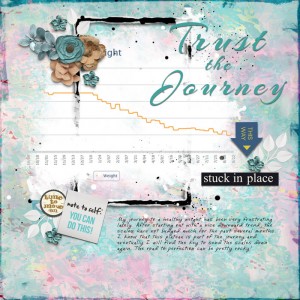 Trust-journey