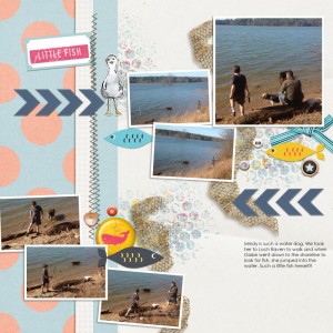 Aug-photography