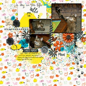 20120516 Playing with Theme