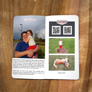 Week 32 - Family Walk - Journaling Challenge