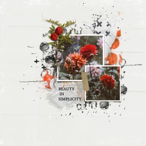 Beauty In Simplicity