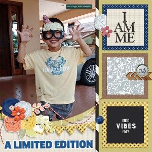 Limited Edition