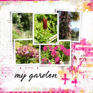 190612_garden1