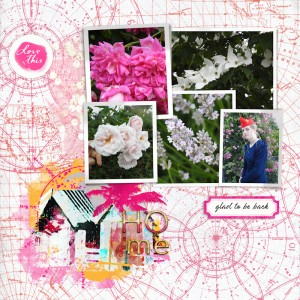 190612_garden2