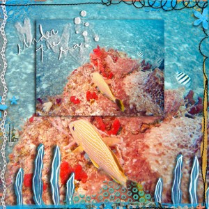 August Slow Scrap