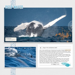 Pelagic1