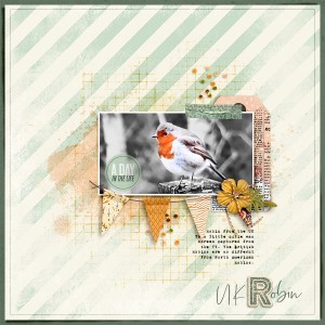 UK Robin