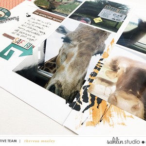 Sahlin Studio CT Theresa Moxley | Ft. Project Mouse Animal