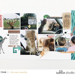 Sahlin Studio CT Theresa Moxley | Ft. Project Mouse Animal