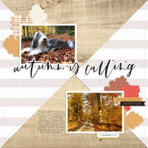 Autumn is calling