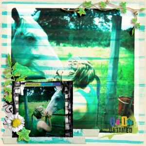 Wild n Free Inspiration9-19