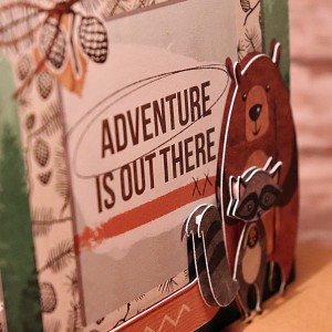 Adventure Birthday card