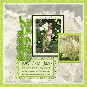 09-19_Hydrangeas