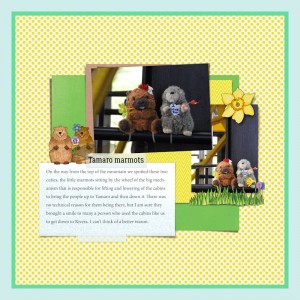 190825_marmots