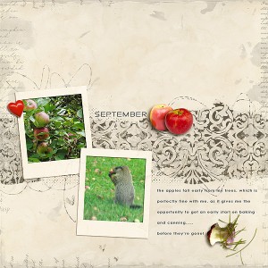 September's Apples