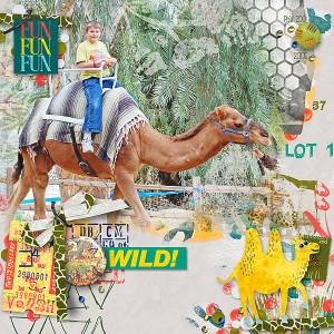 Andrew-camel