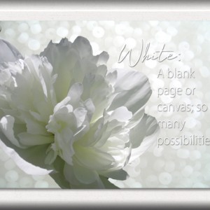 ATC-2019-107-White