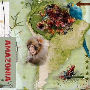 Amazonia Burning