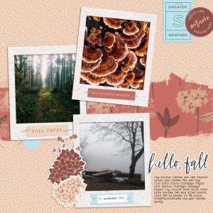 Fall favorites