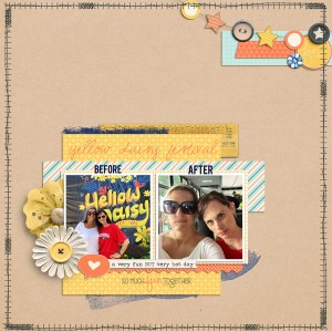 Yellow daisy festival