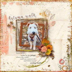 Autumn-Walk
