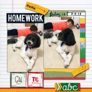 Homework Haha