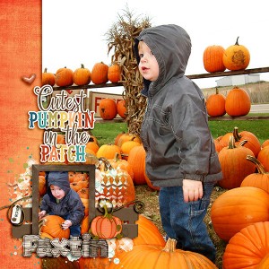 cutest pumpkin