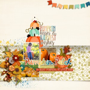 Pumpkin Patch