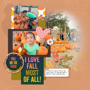 Fall On The Farm