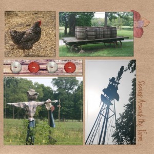 Scenes Around The Farm