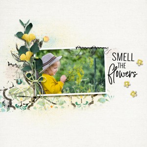 Smell The Flowers