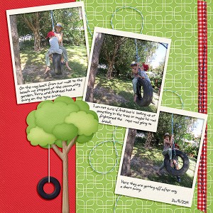 Tyre Swing