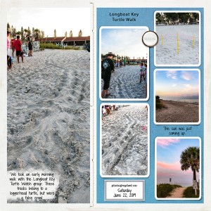 Longboat Key Turtle Walk
