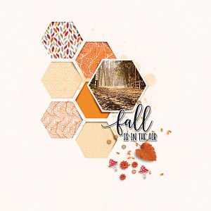 19-09_Soco_HexagonsNo7_falling-leaves-copy