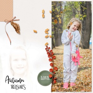 Autumn Treasure