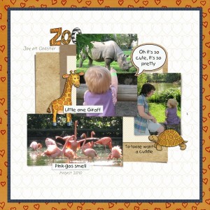 The Zoo Through Your Eyes