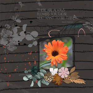 Inspiration Challenge