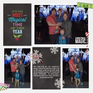 Castle Pics