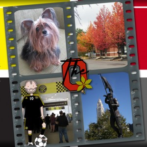 The-Colors-of-my-Life