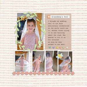 Grandma's Veil