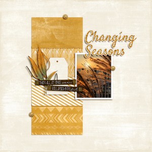 Changing Seasons