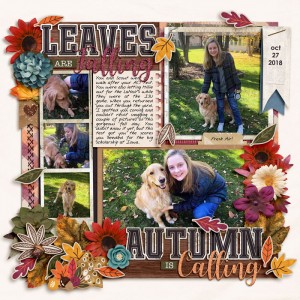 Leaves Are Falling