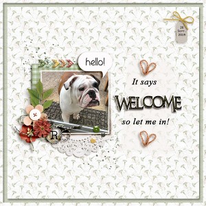 QSS - Welcome  10/7 Quick Speed Scrap