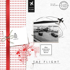 The Flight