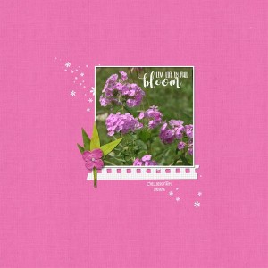 In Full Bloom