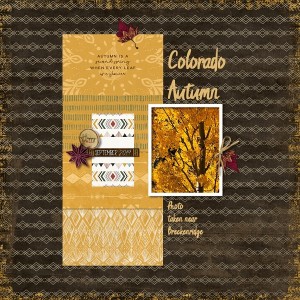 Colorado Autumn
