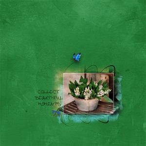 Collect-beautiful-moments