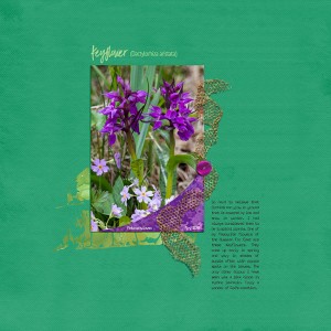 Keyflower