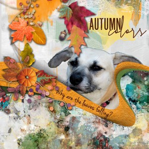 Nbk-templatechallenge_autumncolors