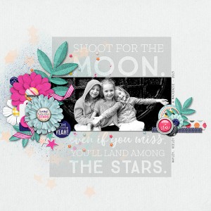 SHOOT FOR THE MOON